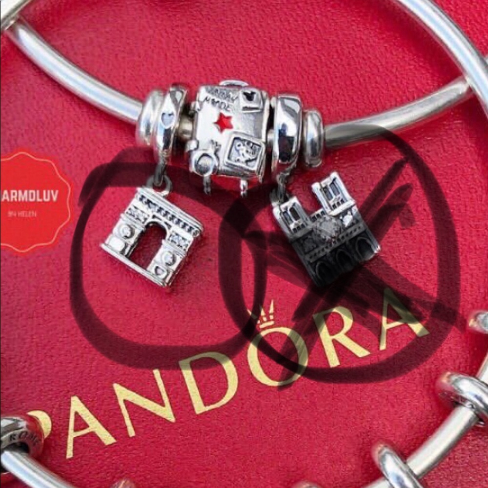 In SEARCH of two Pandora charms. NOT SELLING!